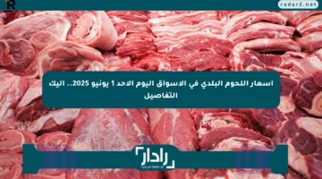 أسعار اللحوم البلدي في الأسواق اليوم الأحد 1 يونيو 2025.. إليك التفاصيل